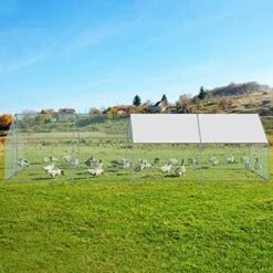 Poulailler Enclos Extérieur Volière Cage Pour Animaux Avec Serrure Armature Acier Galvanisé Poulailler Chenil (3 X 8 X 2 M) NAIZY 9 Poulailler Enclos Extérieur Volière Cage Pour Animaux Avec Serrure Armature Acier Galvanisé Poulailler Chenil (3 X 8 X 2 M) NAIZY -Trixie || Flamingo Soldes Magasin 99356814 5