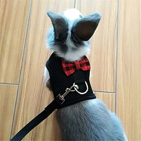 Harnais Pour Lapin Avec Laisse Réglable En Maille Souple Pour Lapin, Chaton Et Cochon D'Inde, Rat, M, Noir 5 Harnais Pour Lapin Avec Laisse Réglable En Maille Souple Pour Lapin, Chaton Et Cochon D'Inde, Rat, M, Noir – Image 5