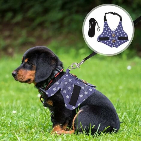 1 Ensemble Lapin Gilet Laisse Set Petit Animal Formelle Costume Harnais Laisse Kit Lapin Marche De Traction Gilet Corde Pour Animaux De Compagnie Lapin Écureuil Guinée Porc Petit 2 1 Ensemble Lapin Gilet Laisse Set Petit Animal Formelle Costume Harnais Laisse Kit Lapin Marche De Traction Gilet Corde Pour Animaux De Compagnie Lapin Écureuil Guinée Porc Petit – Image 2