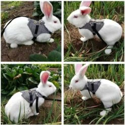 Harnais De Lapin Laisse Harnais Respirant Doux Pour Lapin Avec Laisse Style Gentleman Gilet De Lapin Mignon Avec Décor De Boutons Animaux De Compagnie Costume Formel Réglable Style à Rayures(M) -Trixie || Flamingo Soldes Magasin 99599985 5