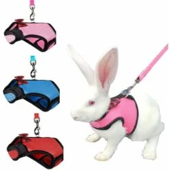 Harnais Doux En Maille Avec Laisse Pour Petit Animal Domestique - Pour Hamster, Lapin, Lapin, Lapin, Petit Animal Domestique - Ceinture Et Laisse - Rose - Taille L