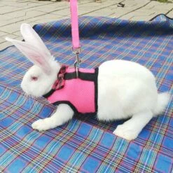 Harnais Doux En Maille Avec Laisse Pour Petit Animal Domestique - Pour Hamster, Lapin, Lapin, Lapin, Petit Animal Domestique - Ceinture Et Laisse - Rose - Taille L -Trixie || Flamingo Soldes Magasin 99600024 3
