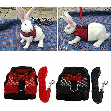 Harnais Pour Lapins Avec Laisse élastique, Approprié Pour Les Petits Animaux De Compagnie (M: Buste (30-34cm), Rouge) 2 Harnais Pour Lapins Avec Laisse élastique, Approprié Pour Les Petits Animaux De Compagnie (M: Buste (30-34cm), Rouge) – Image 2