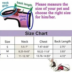 Harnais Pour Lapins Avec Laisse élastique, Approprié Pour Les Petits Animaux De Compagnie (M: Buste (30-34cm), Rouge) 7 Harnais Pour Lapins Avec Laisse élastique, Approprié Pour Les Petits Animaux De Compagnie (M: Buste (30-34cm), Rouge) -Trixie || Flamingo Soldes Magasin 99600421 3