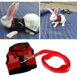 Harnais Pour Lapins Avec Laisse élastique, Approprié Pour Les Petits Animaux De Compagnie (M: Buste (30-34cm), Rouge) 8 Harnais Pour Lapins Avec Laisse élastique, Approprié Pour Les Petits Animaux De Compagnie (M: Buste (30-34cm), Rouge) -Trixie || Flamingo Soldes Magasin 99600421 4