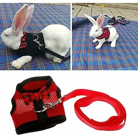 Harnais Pour Lapins Avec Laisse élastique, Approprié Pour Les Petits Animaux De Compagnie (M: Buste (30-34cm), Rouge) 4 Harnais Pour Lapins Avec Laisse élastique, Approprié Pour Les Petits Animaux De Compagnie (M: Buste (30-34cm), Rouge) – Image 4