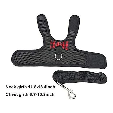 Harnais Et Laisse De Hamster, Corde Réglable De Harnais De Laisse De Hamster D'animal Familier, Corde De Collier De Souris(1.4m-no Bell) 5 Harnais Et Laisse De Hamster, Corde Réglable De Harnais De Laisse De Hamster D'animal Familier, Corde De Collier De Souris(1.4m-no Bell) – Image 5