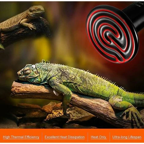 E27 50W Émetteur Radiateur Animaux Ampoule Infrarouge Chauffage En Céramique,Lampe De Reptile Pour Amphibiens, Serpent, Oiseaux,Tortue, Chat, Chien 2 E27 50W Émetteur Radiateur Animaux Ampoule Infrarouge Chauffage En Céramique,Lampe De Reptile Pour Amphibiens, Serpent, Oiseaux,Tortue, Chat, Chien – Image 2
