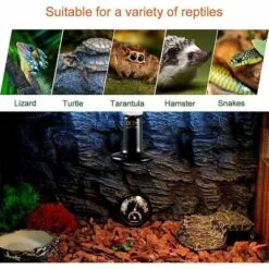 E27 50W Émetteur Radiateur Animaux Ampoule Infrarouge Chauffage En Céramique,Lampe De Reptile Pour Amphibiens, Serpent, Oiseaux,Tortue, Chat, Chien 7 E27 50W Émetteur Radiateur Animaux Ampoule Infrarouge Chauffage En Céramique,Lampe De Reptile Pour Amphibiens, Serpent, Oiseaux,Tortue, Chat, Chien -Trixie || Flamingo Soldes Magasin 99846661 3