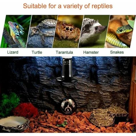 E27 50W Émetteur Radiateur Animaux Ampoule Infrarouge Chauffage En Céramique,Lampe De Reptile Pour Amphibiens, Serpent, Oiseaux,Tortue, Chat, Chien 3 E27 50W Émetteur Radiateur Animaux Ampoule Infrarouge Chauffage En Céramique,Lampe De Reptile Pour Amphibiens, Serpent, Oiseaux,Tortue, Chat, Chien – Image 3