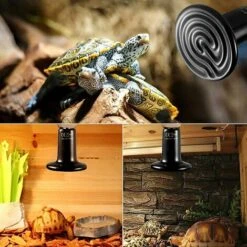 E27 50W Émetteur Radiateur Animaux Ampoule Infrarouge Chauffage En Céramique,Lampe De Reptile Pour Amphibiens, Serpent, Oiseaux,Tortue, Chat, Chien 9 E27 50W Émetteur Radiateur Animaux Ampoule Infrarouge Chauffage En Céramique,Lampe De Reptile Pour Amphibiens, Serpent, Oiseaux,Tortue, Chat, Chien -Trixie || Flamingo Soldes Magasin 99846661 5